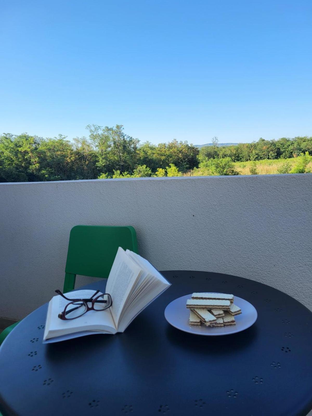 Apartman Kali Srebrno Jezero Ostrovo Exterior foto